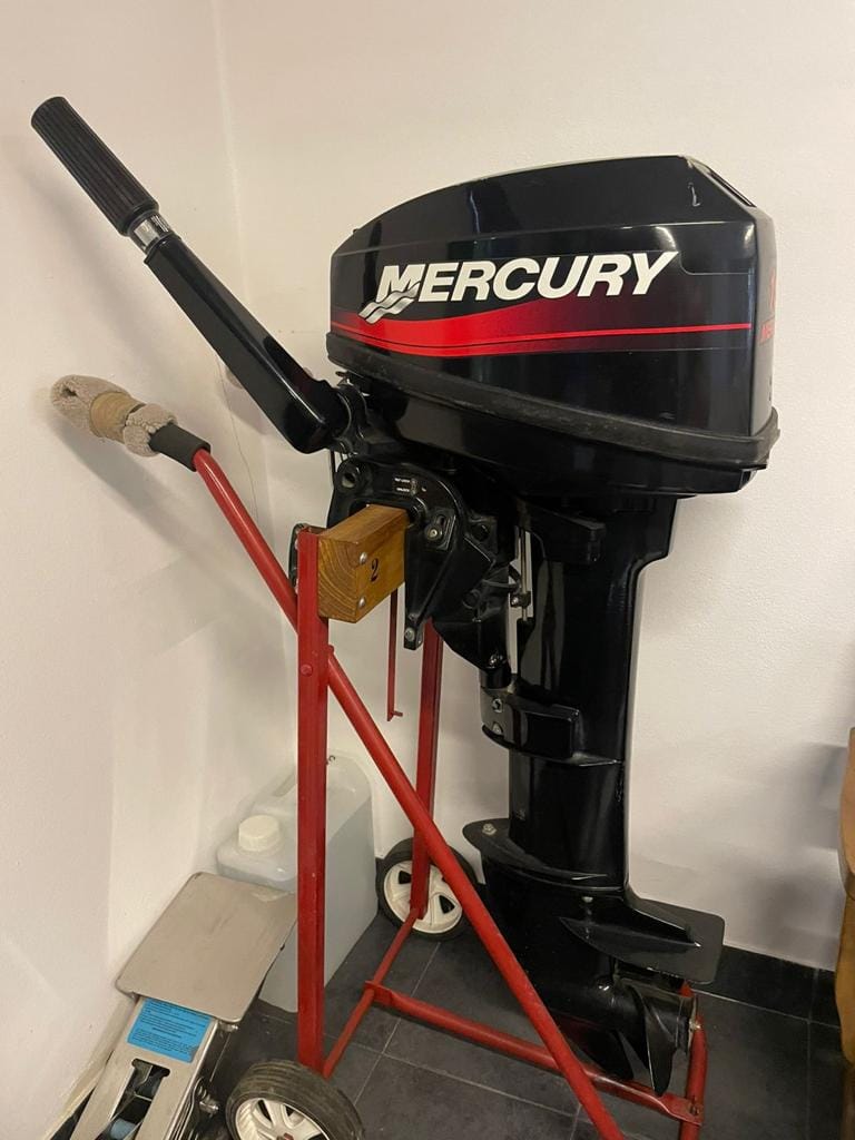 Mercury 15 hp