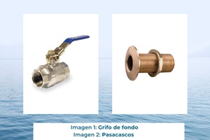 Grifo-de-fondo-.jpg